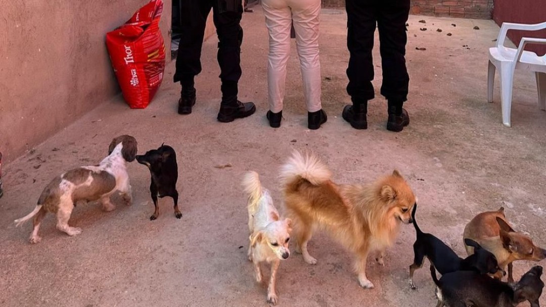 Suspeito é preso em operação contra exploração sexual infantil e maus-tratos a animais em RO