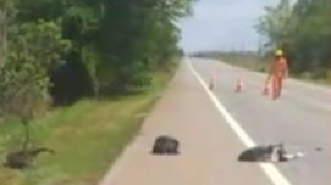 Motociclista morre em grave acidente na BR-364