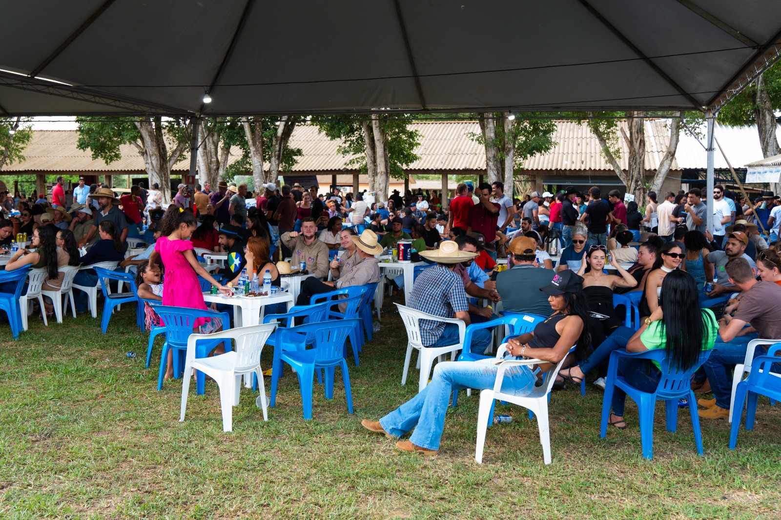    14ª Edição do Leilão Direito de Viver em Buritis - 1