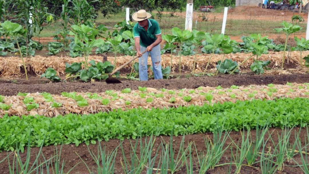 Parceria amplia acesso ao crédito rural a agricultores familiares em Rondônia