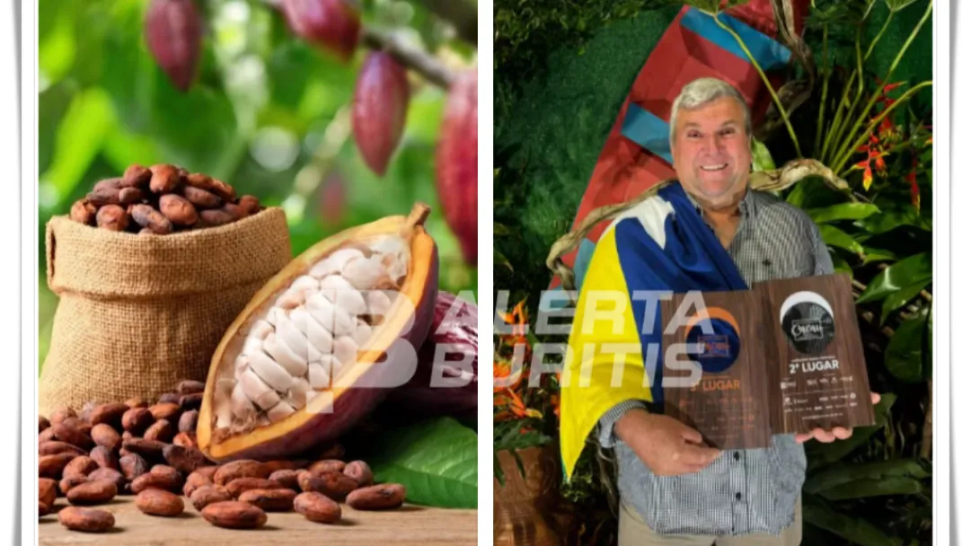 O dia do Cacau e a doce revolução de Buritis