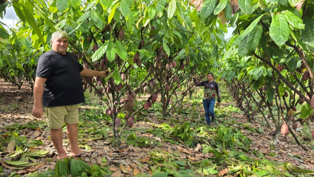 O Sucesso do Cacau de Buritis: Da Agricultura Familiar ao Pódio Nacional