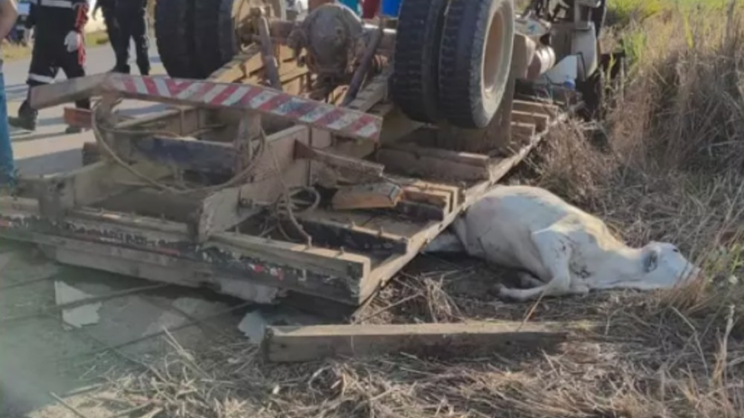 Acidente com caminhão na RO-460 deixa um morto e outro ferido em Campo Novo de Rondônia