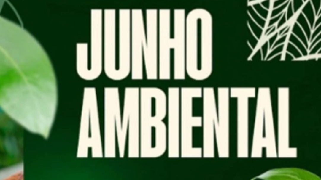 MPF obriga Rondônia a proteger antigo território da Floresta Nacional do Bom Futuro