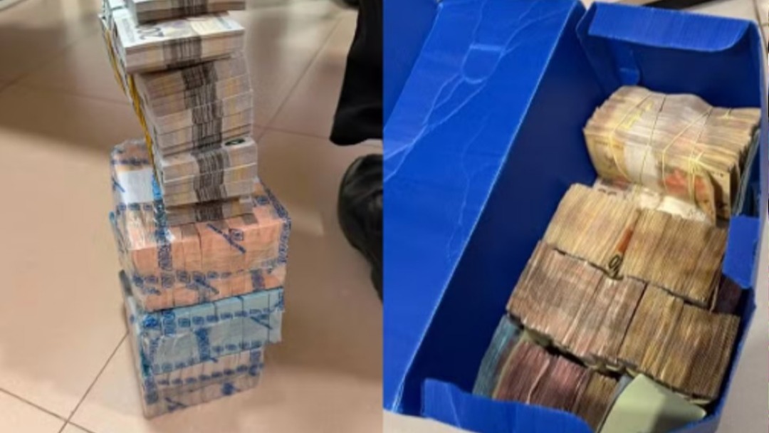 Dois servidores são presos e 11 afastados em operação na ALE-RO que investiga 'rachadinha'