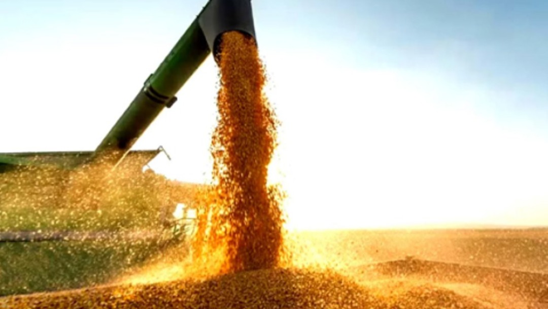 Produção agrícola brasileira superou R$ 927 bilhões em 2025