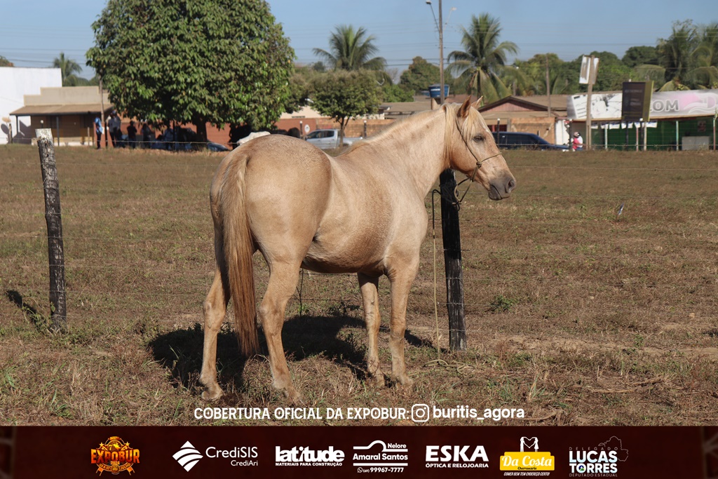    A 7ª Cavalgada da Expobur está de volta, trazendo ainda mais emoção. - 1