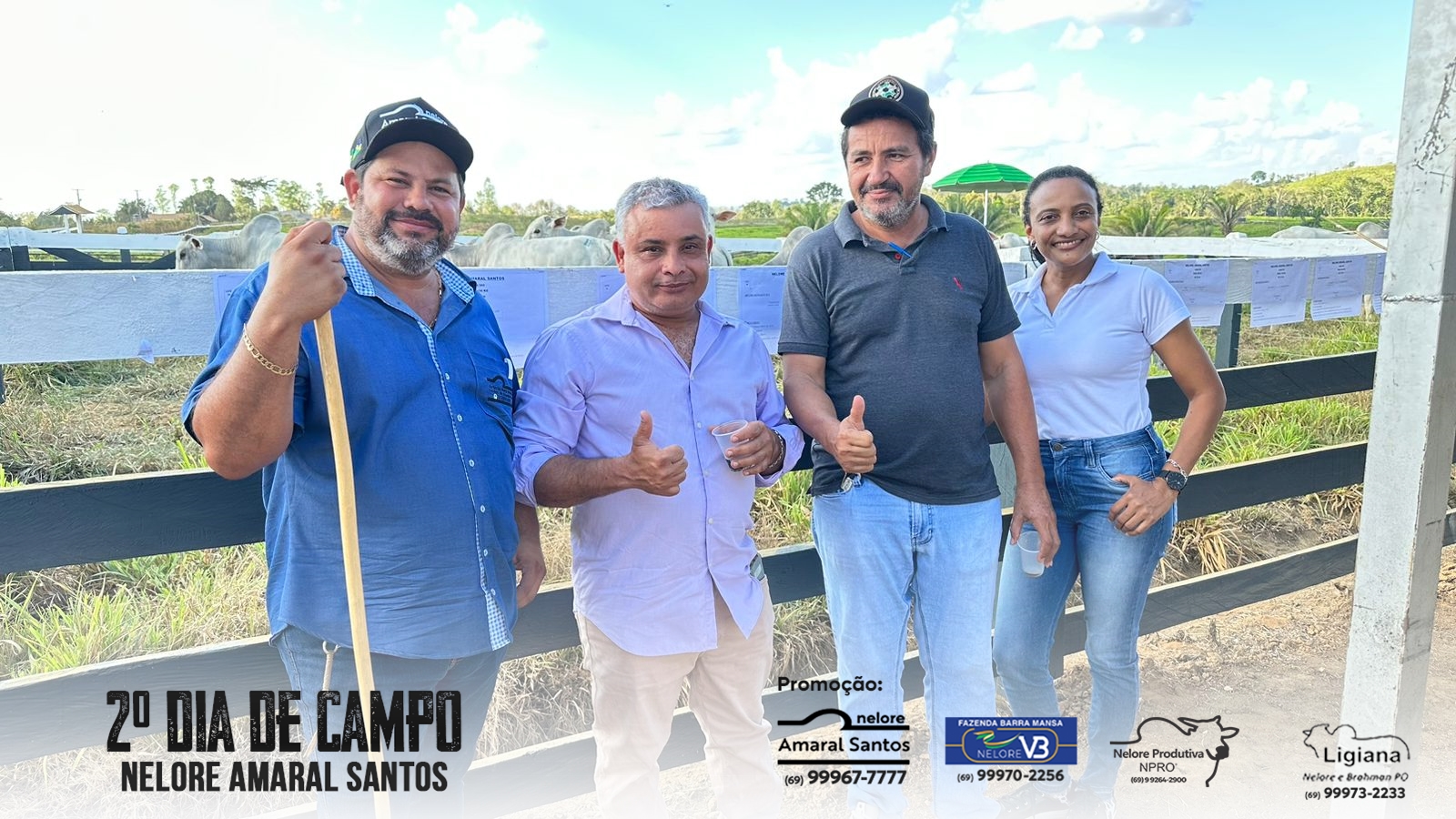    Buritis: 2° dia Campo Nelore Amaral Santos - 0