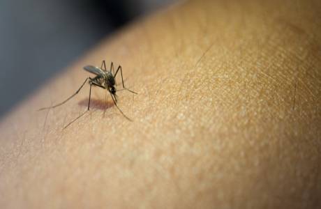 Casos de dengue aumentam 113,7% nos quatro primeiros meses de 2022