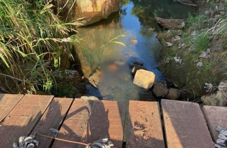 Corpo é encontrado em riacho em Colorado do Oeste