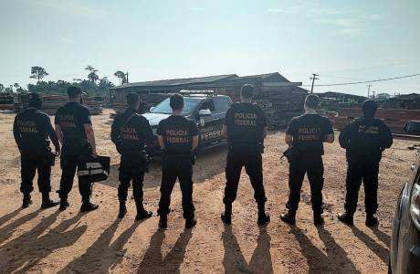 FAKE PLAN: Madeireiros são alvos de operação e PF apreende cinco milhões