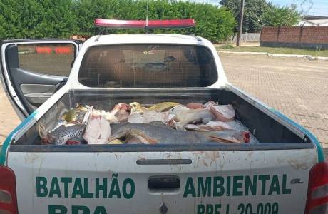 Polícia doa 700 quilos de peixe apreendidos no rio Madeira, em RO