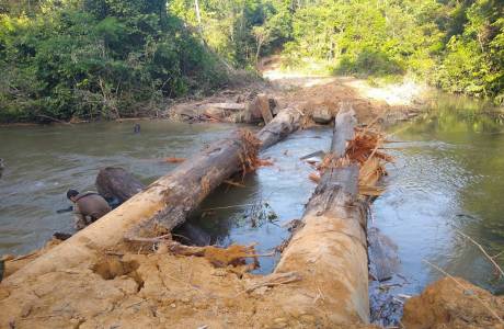 Polícia Federal usa explosivo para destruir pontes ilegais em Terra Indígena: veja vídeo