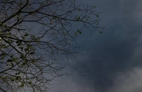 Semana inicia com previsão de dia quente e chuva para todo o estado de Rondônia